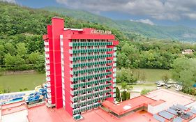 Complex Balnear Cozia Hotel 2*